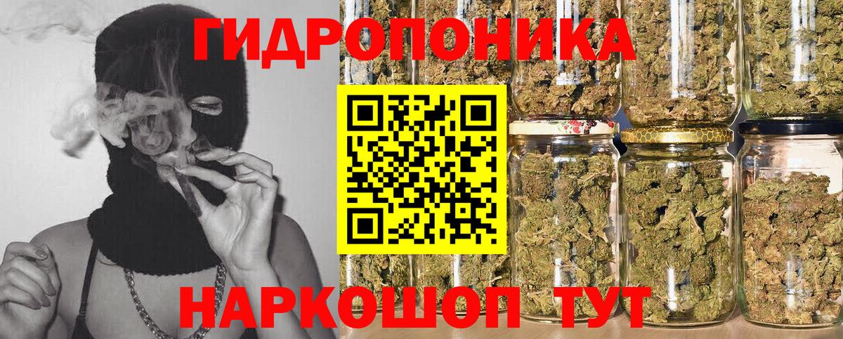 Бошки марихуана VHQ  Вход с VPN  Вышний Волочёк  Бошки Шишки OG Kush 